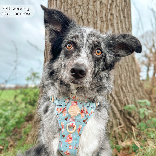 Tough Trails™ Harness - Winnie The Pooh