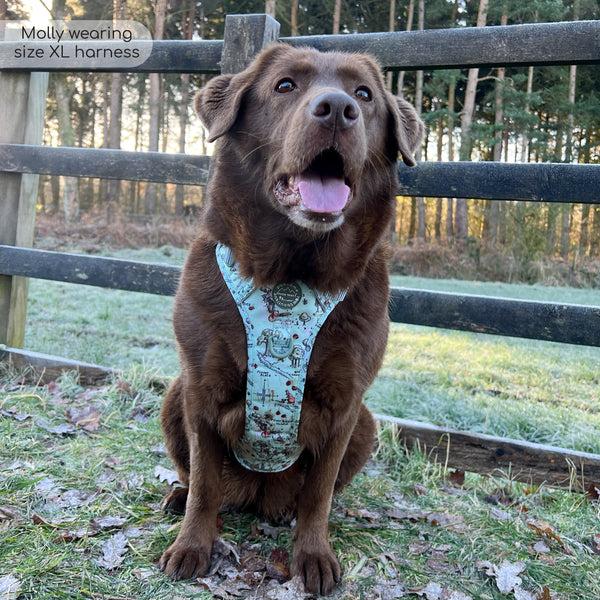 Tough Trails™ Harness - 100 Aker Wood