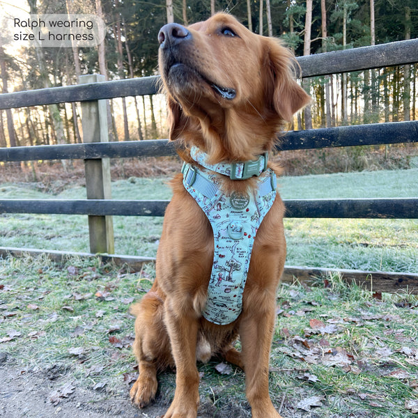 Tough Trails™ Harness - 100 Aker Wood