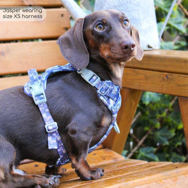 Tough Trails™ Harness -  Winnie + Friends