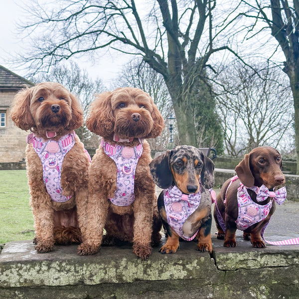 Tough Trails™ Harness - Piglet