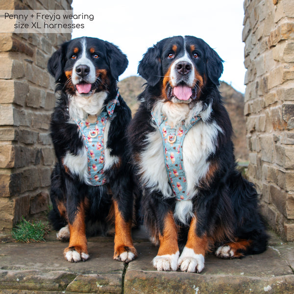 Tough Trails™ Harness - Winnie The Pooh