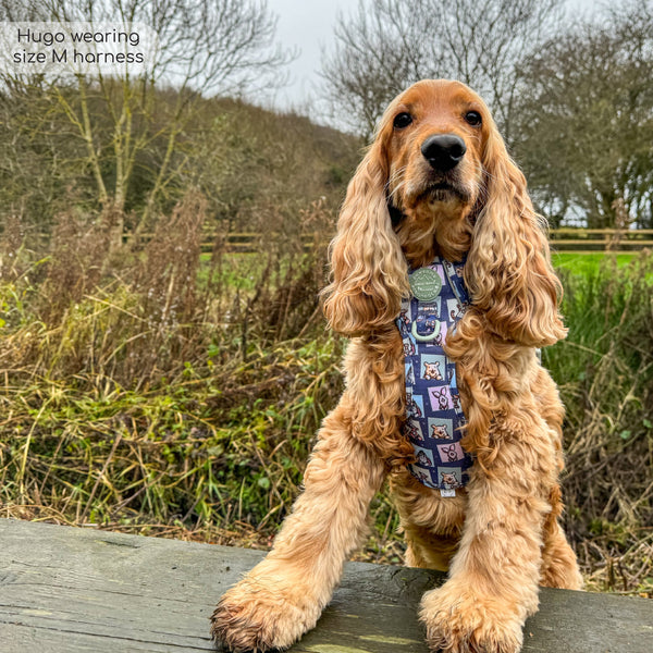 Tough Trails™ Harness -  Winnie + Friends