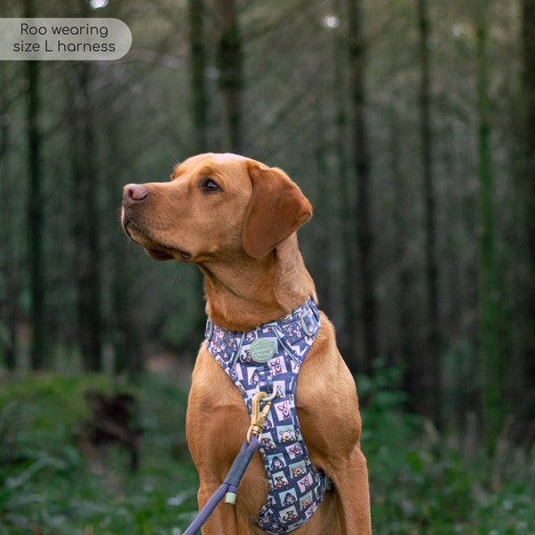 Tough Trails™ Harness -  Winnie + Friends