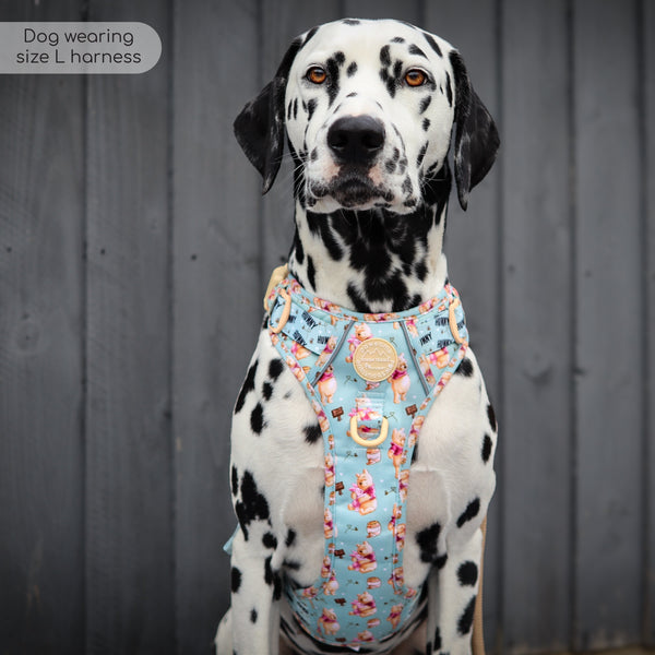 Tough Trails™ Harness - Winnie The Pooh