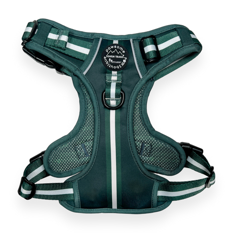 Essentials Harness - Emerald