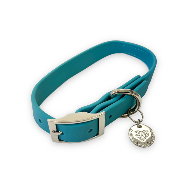 Waterproof Collar – Teal - Silver Hardware