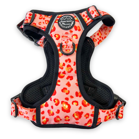 Tough Trails Harness - Wild At Heart