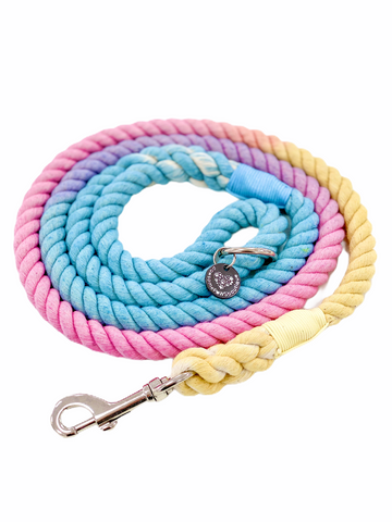 Rope Lead - Refresher