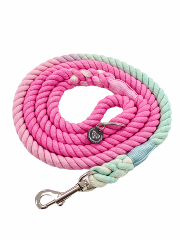 Rope Lead - Pixie Mint