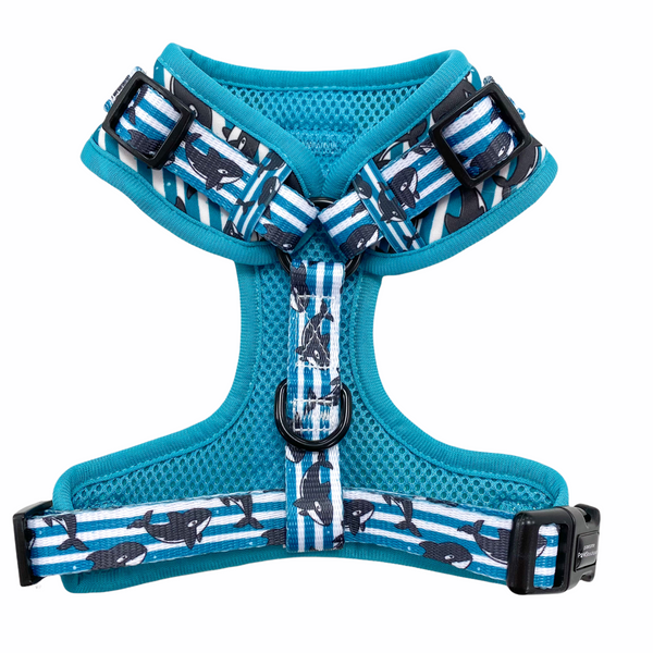 D-Ring Adjustable Harness - Pawsome Pod