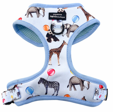 D-Ring Adjustable Harness – Up, Pup + Away - Powder Blue
