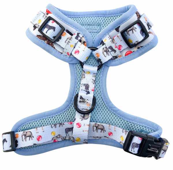 D-Ring Adjustable Harness – Up, Pup + Away - Powder Blue
