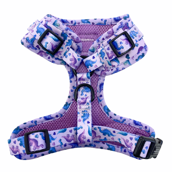 Retail D-Ring Adjustable Harness - Tiny Diny