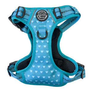 Happy Trails Tough Trails Harness - Teal Hearts