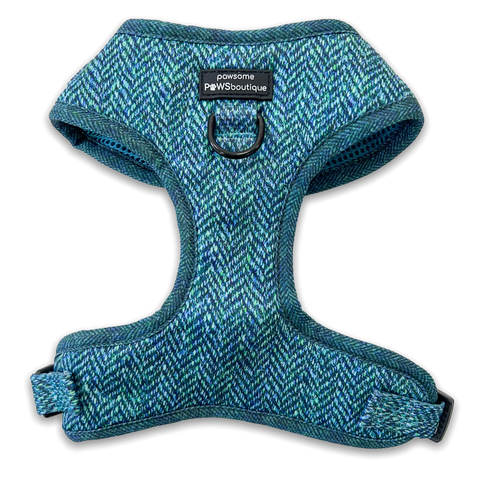 D-Ring Adjustable Harness – Country Teal