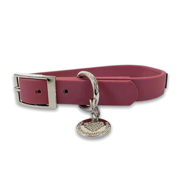 Waterproof Collar – Wine Red - Silver Hardware