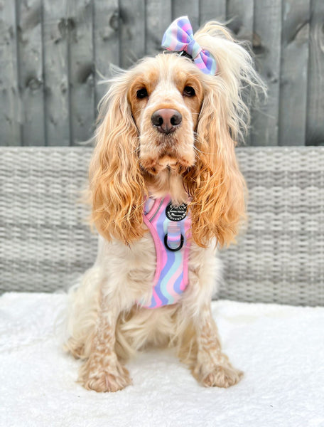 Tough Trails Harness - PPB Pastel Swirl