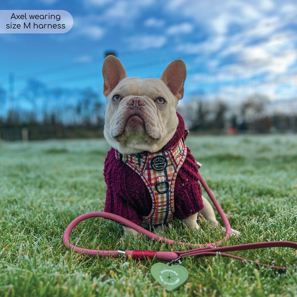 Tough Trails™ Harness - Plaid Pup