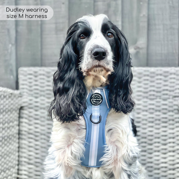 Essentials Harness - Dusky Blue