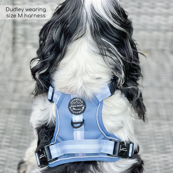 Essentials Harness - Dusky Blue