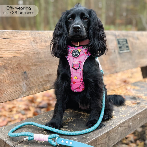 Tough Trails™ Harness - Candypop