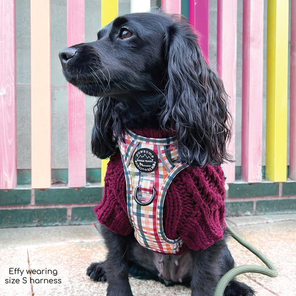 Tough Trails™ Harness - Plaid Pup