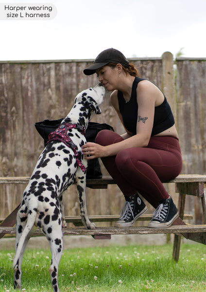 Tough Trails™ Harness - Mable's Meadow