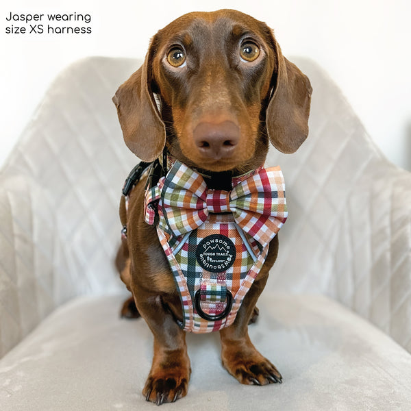 Tough Trails™ Harness - Plaid Pup