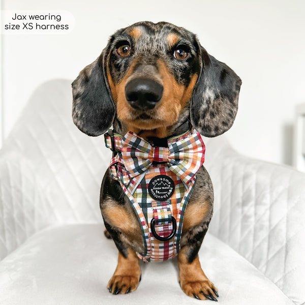 Tough Trails™ Harness - Plaid Pup