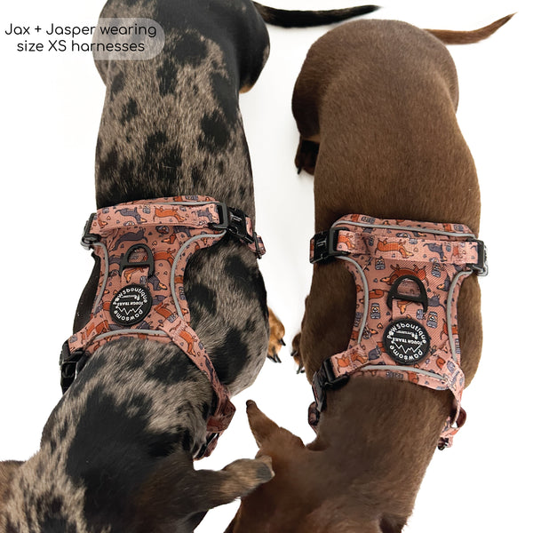 Tough Trails™ Harness - Coffee Beans + Little Weens - Brown