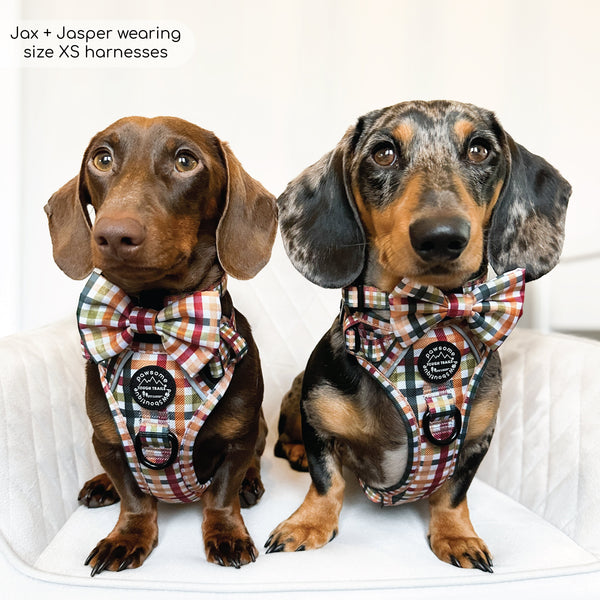 Tough Trails™ Harness - Plaid Pup