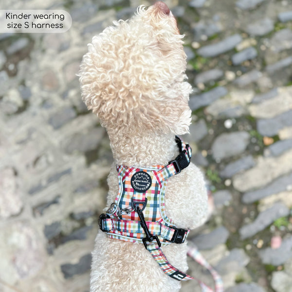 Tough Trails™ Harness - Plaid Pup