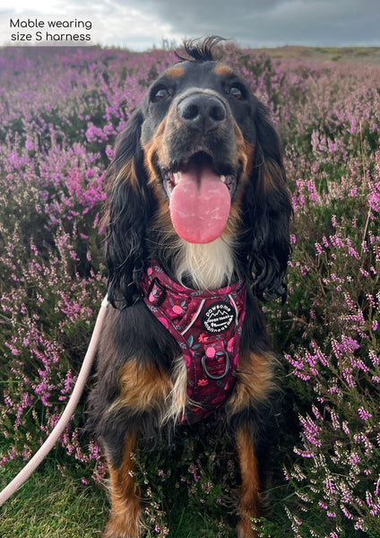 Tough Trails™ Harness - Mable's Meadow