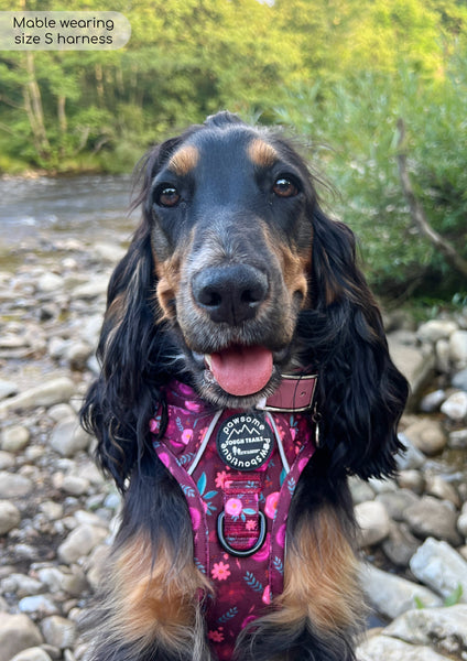 Tough Trails™ Harness - Mable's Meadow