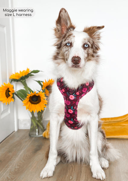 D-Ring Adjustable Harness - Mable's Meadow