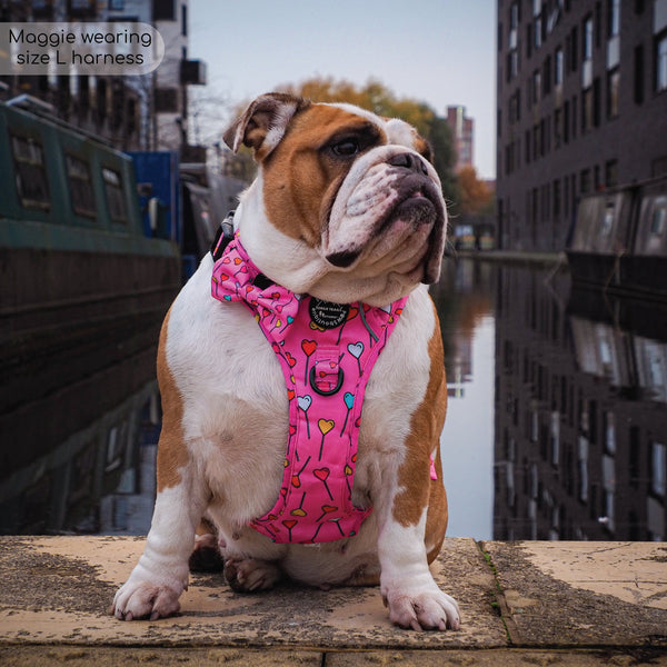 Tough Trails™ Harness - Candypop