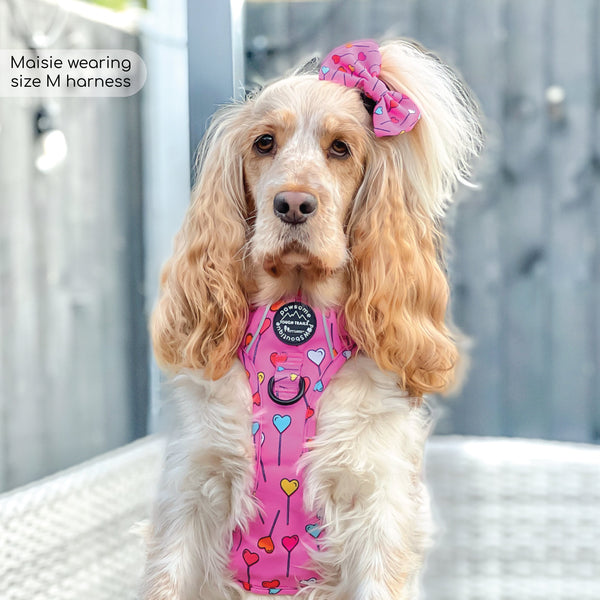 Tough Trails™ Harness - Candypop