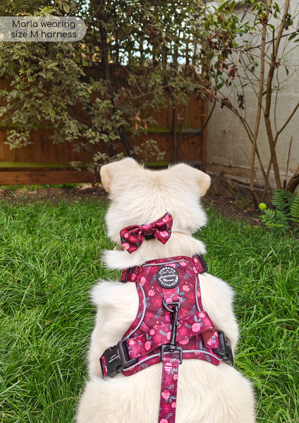 Tough Trails™ Harness - Mable's Meadow