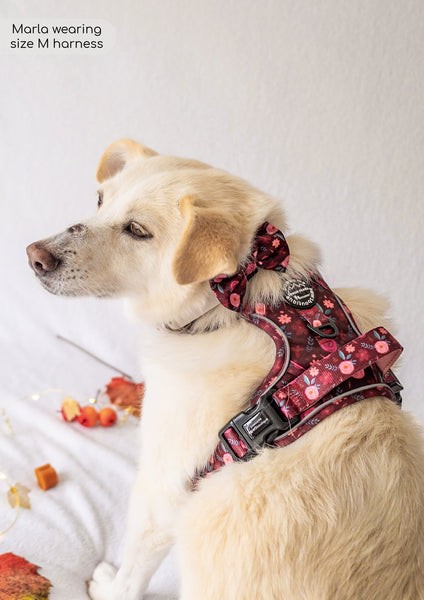 Tough Trails™ Harness - Mable's Meadow