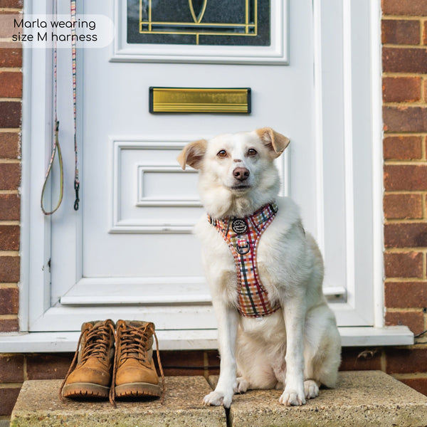 Tough Trails™ Harness - Plaid Pup