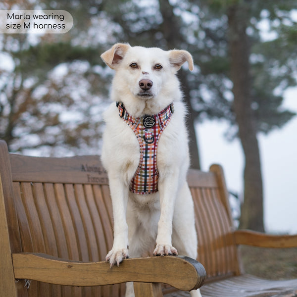 Tough Trails™ Harness - Plaid Pup