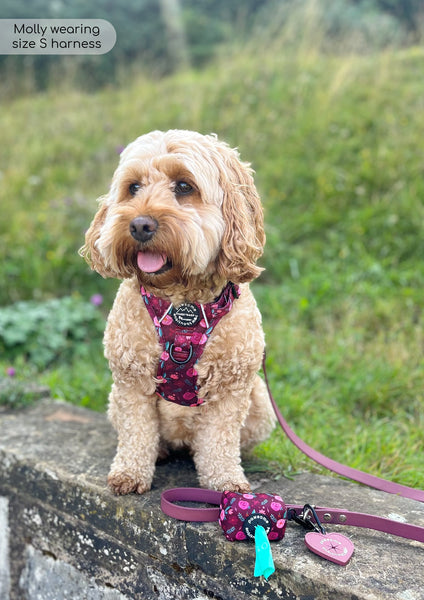 Tough Trails™ Harness - Mable's Meadow