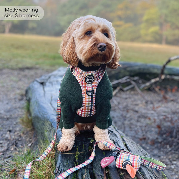 Tough Trails™ Harness - Plaid Pup