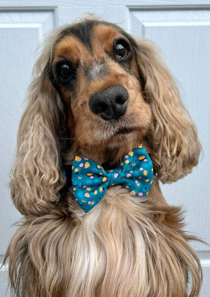 Bow Tie - Teal Leopard
