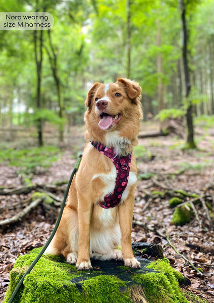 Tough Trails™ Harness - Mable's Meadow