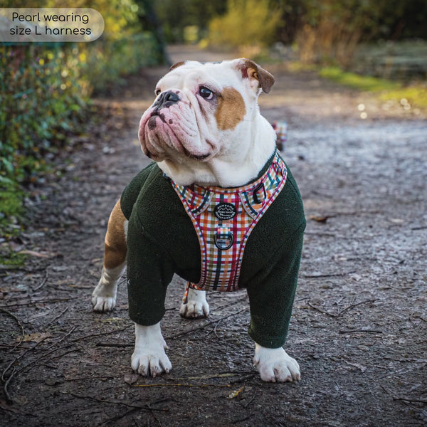 Tough Trails™ Harness - Plaid Pup