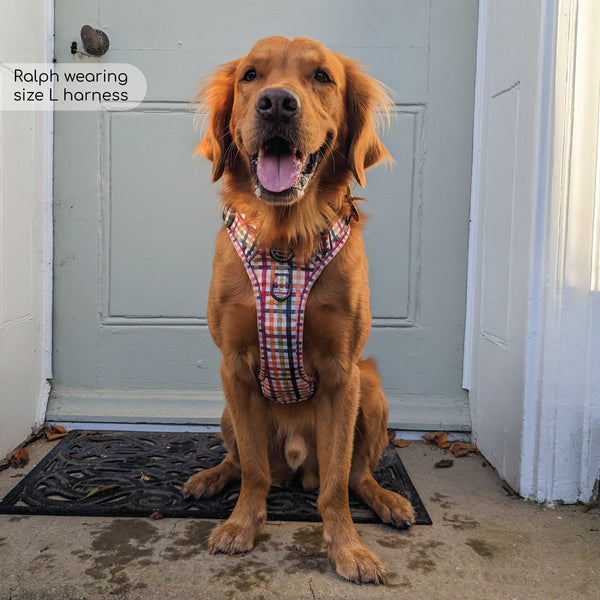 Tough Trails™ Harness - Plaid Pup