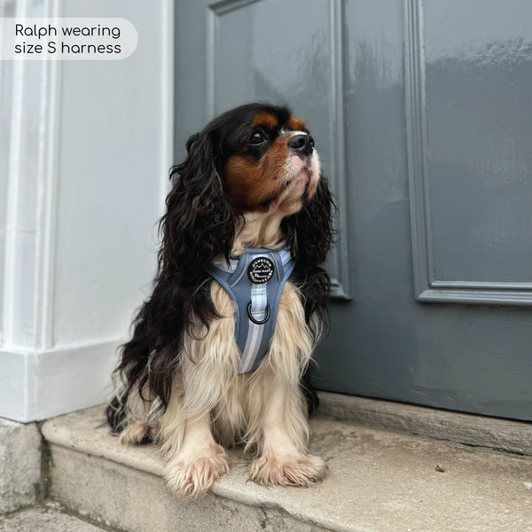 Essentials Harness - Dusky Blue