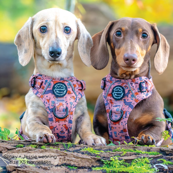 Tough Trails™ Harness - Coffee Beans + Little Weens - Brown